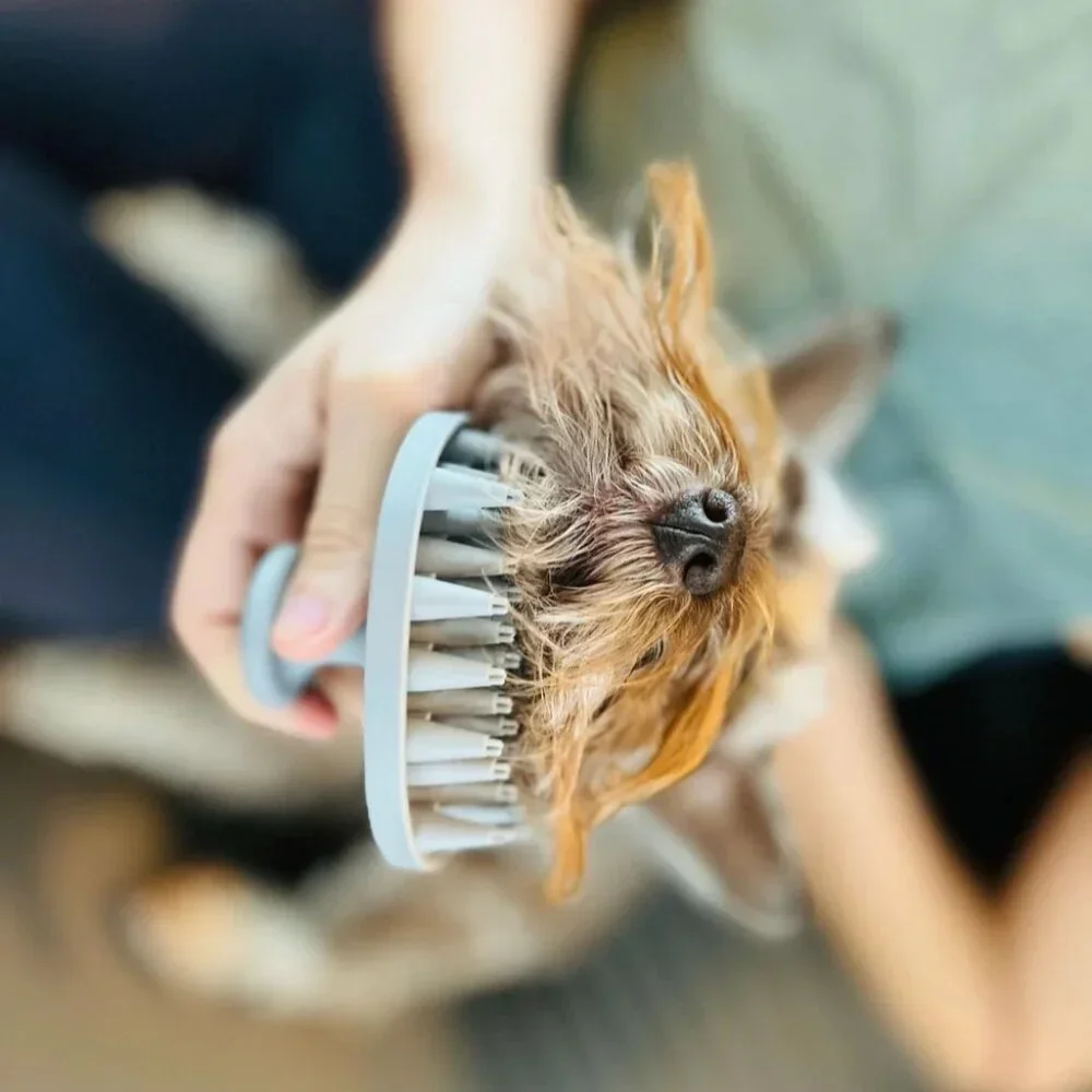 New Medium Mudbuster Dog Paw Cleaner and Silicon Pet Brush + FREE Toy Bundle